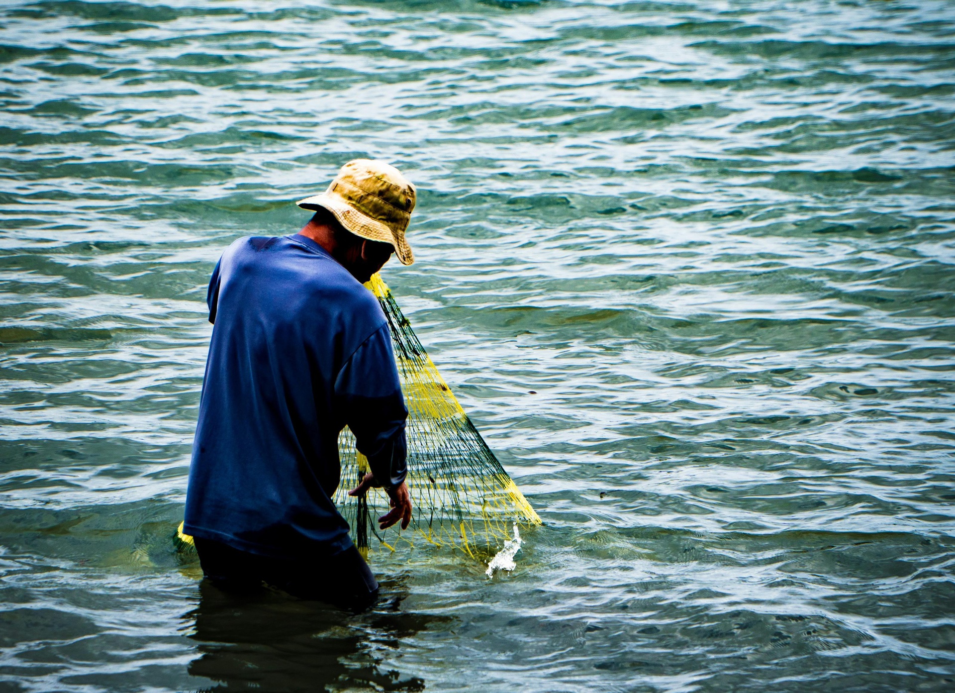 唐山水产养殖App开发，打造智能化鱼塘管家