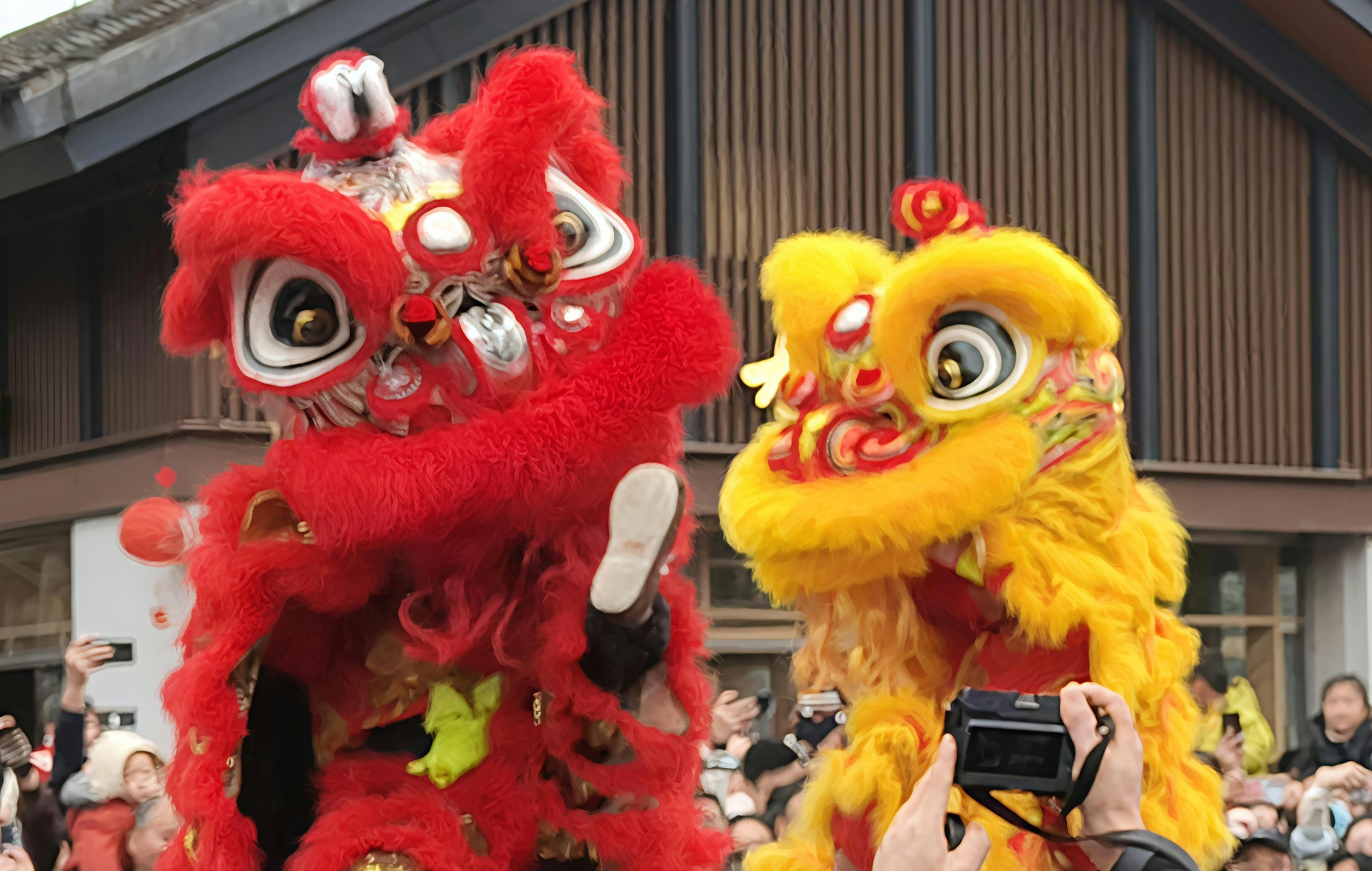 保定非遗文化信息资讯平台App开发的功能介绍